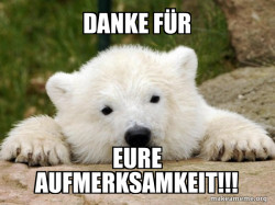Popular Opinion Bear