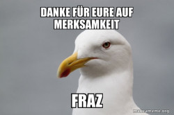 Stuff That Didn't Happen Seagull