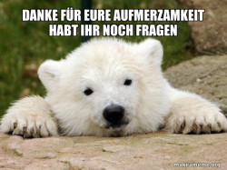 Popular Opinion Bear
