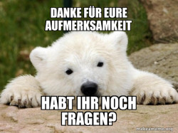 Popular Opinion Bear