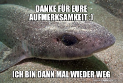 Dirty Joke Dogfish