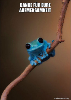 Small Fact Frog