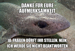 Dirty Joke Dogfish