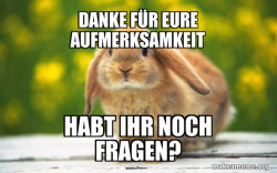 Regretful Rabbit