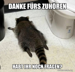 Drunk Raccoon