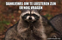 Evil Plotting Raccoon