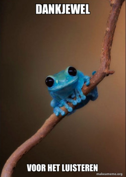 Small Fact Frog