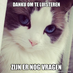 Ridiculously Photogenic Cat