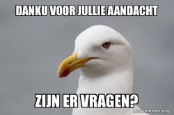 Stuff That Didn't Happen Seagull
