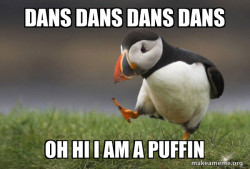 dansing puffin