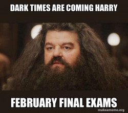 Hagrid - I should not have said that