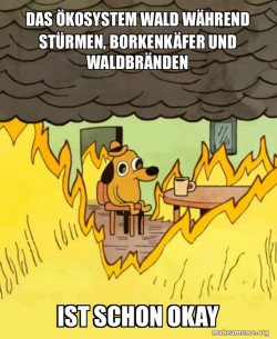 This Is Fine