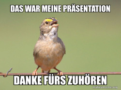 Common Opinion Sparrow