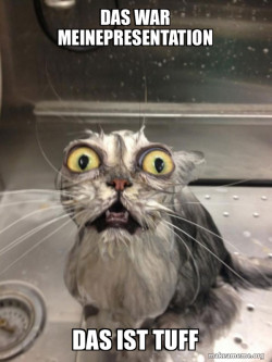 Cat bath