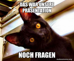 Overly Attached Cat