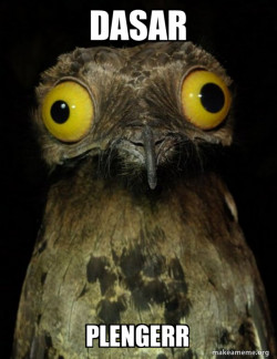 Weird Stuff I do Potoo