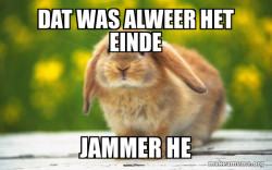 Regretful Rabbit