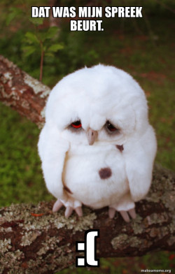 Sad Owl