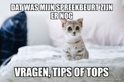 Cute Kitten