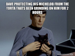 Spock and Cat Meme