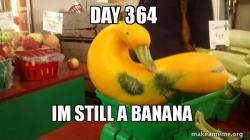 Gourd Advice Mallard