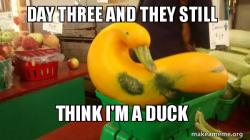 Gourd Advice Mallard
