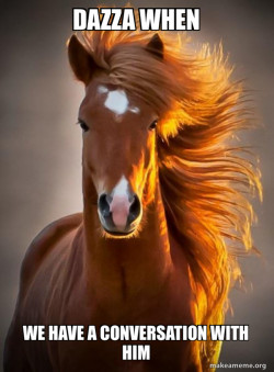Ridiculously photogenic horse