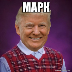 Bad Luck Trump