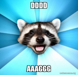 Lame Pun Coon