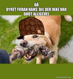 Scumbag dog