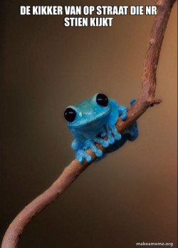 Small Fact Frog