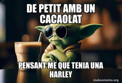 Cool Yoda (Sunglasses)