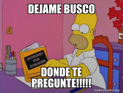 Internets Homer