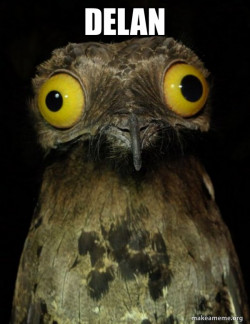 Weird Stuff I do Potoo