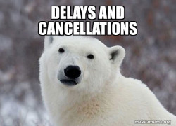 Popular Opinion Polar Bear