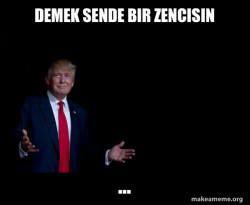 Trump Everything is FIne