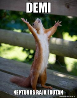 Happy Squirrel