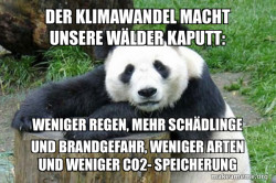 Confession Panda