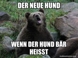 Sarcastic Bear