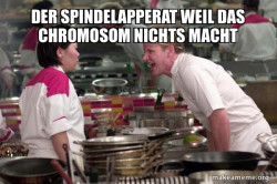 Gordon Ramsay