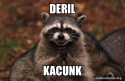 Evil Plotting Raccoon