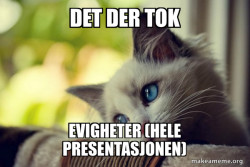 First World Cat Problems