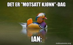 Fashionable Advice Mallard