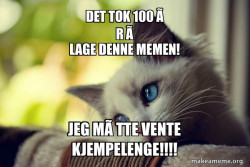 First World Cat Problems