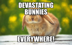 Regretful Rabbit