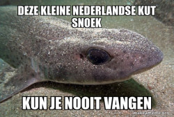 Kleine Nederlandse kut snoek 