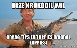 Steve irwin