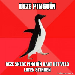 Socially Awesome Penguin