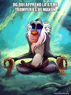 Rafiki Meditating - Lion King