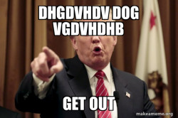 Donald Trump Says